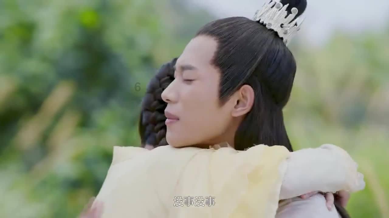 什么水母是世界上最大的水母？