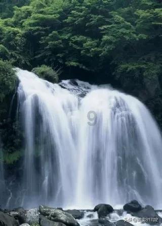 骗子的谎言