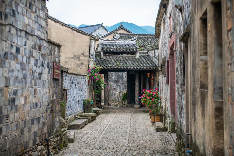 内蒙古民丰种业与卡乐比 合作发布仪式圆满举行